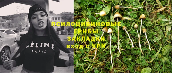 первитин Алексин