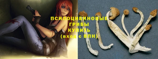a pvp Алзамай