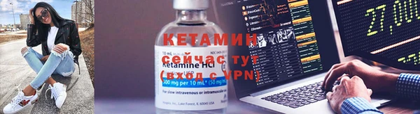 a pvp Алзамай