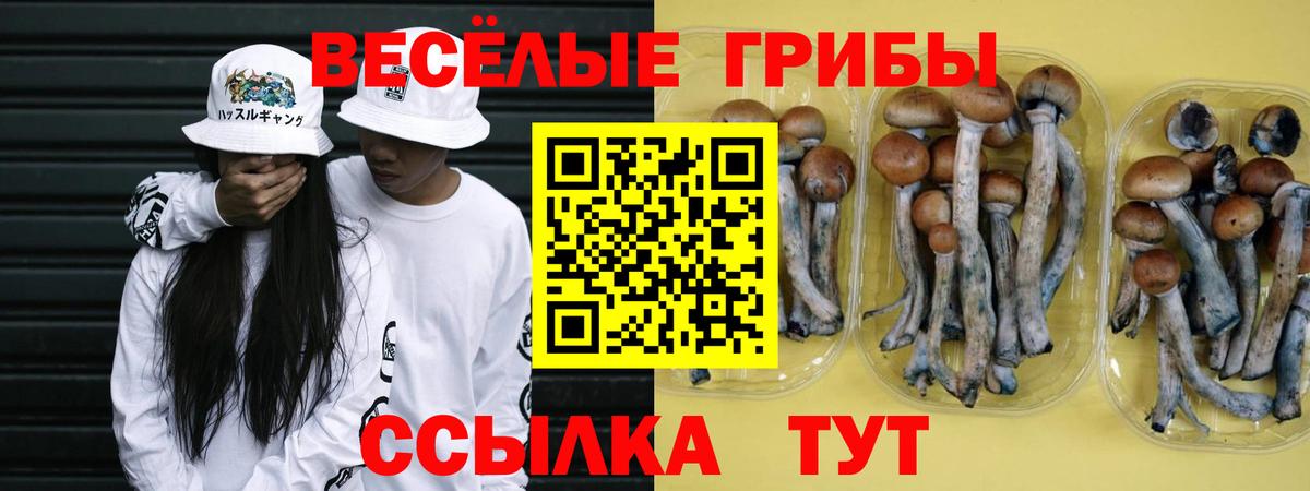 НБОМе Нарьян-Мар