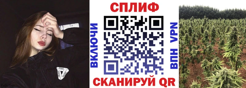 купить закладку Нарьян-Мар Конопля марихуана